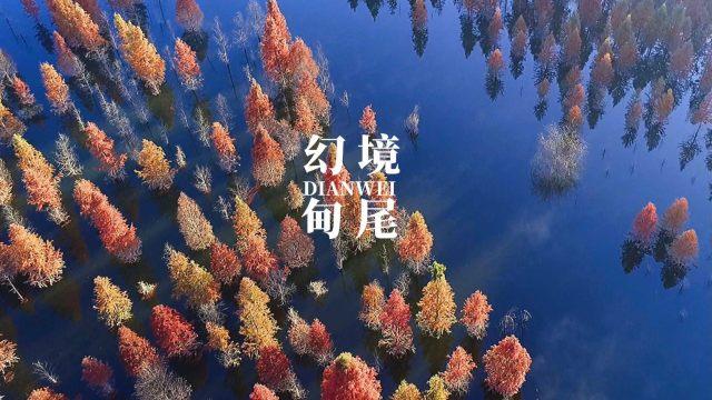 沙特联赛为何留不住人?